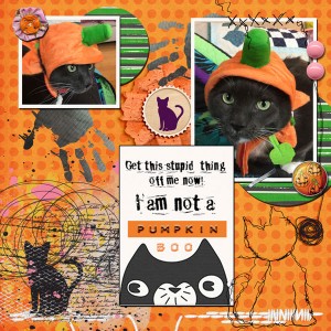 Squeaky Does Halloween!