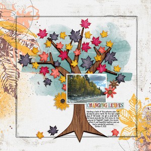 Changing Leaves