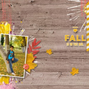Fall Is In The Air