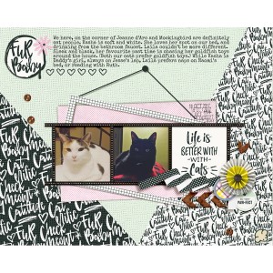 Cats