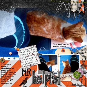 Mr-helpful