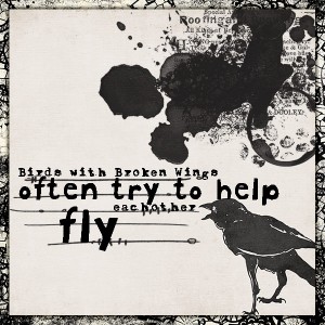 Broken Wing Bird
