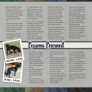 Almost Lost to Lepto (page 4)