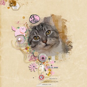 Caterrific