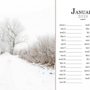 01_sc_photocase18_january_marijke