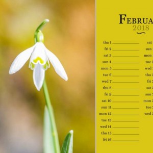 02_sc_photocase18_february