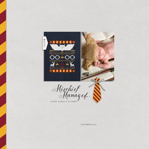 Mischief Managed