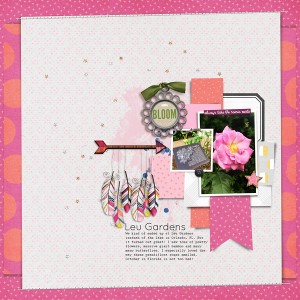 Bloom