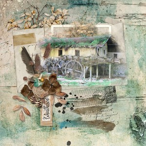 weathered