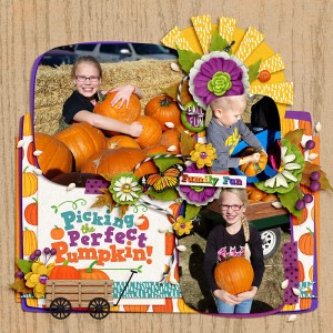 Picking the Perfect Pumpkin