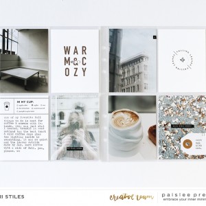 Paislee-NOVEMBERPROJECT-projectbykaristiles