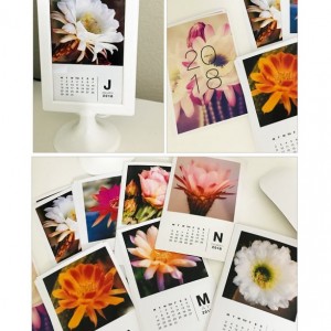 PP2018-4x6calendar-copy