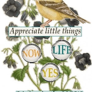 New November Siggie-Simple Life