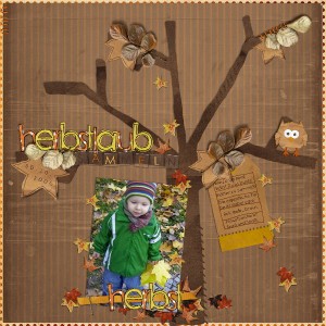 Herbstlaub sammeln
