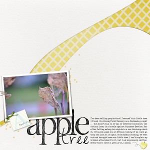 A is for Apple Tree