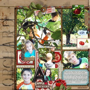 Orchard