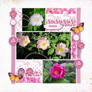 Rose Garden