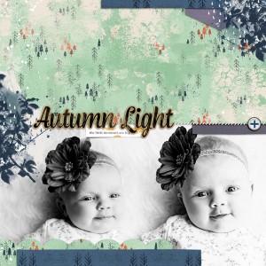 Autumn Light