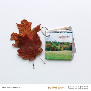 4x4 Autumn Vibes mini-album