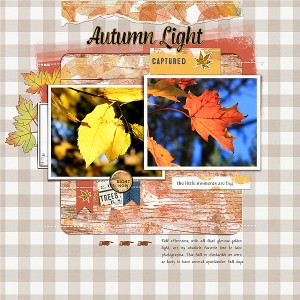 Autumn Light