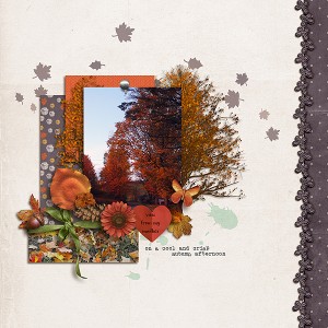 NorthFork::November