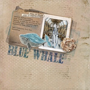 Blue Whale