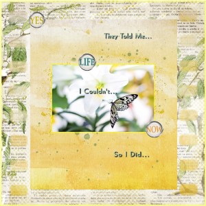 Inspiration Challenge-November-They Told Me I Couldn't So I Did-Metamorphosis