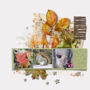 Autumn
