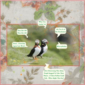 Journaling Challenge-November-Conversation-Puffin Talk
