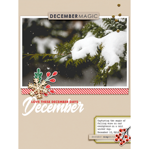 December Magic | DYD