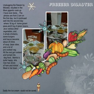 Freezer Distaster