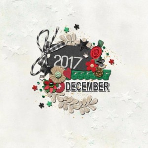 12.17-title