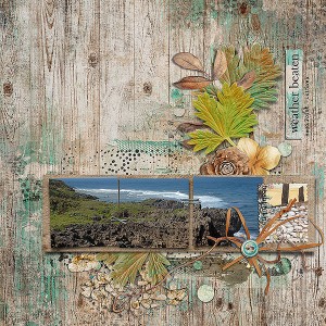 weathered