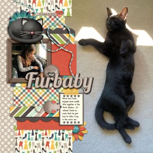 Furbaby