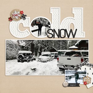 Snow Cold