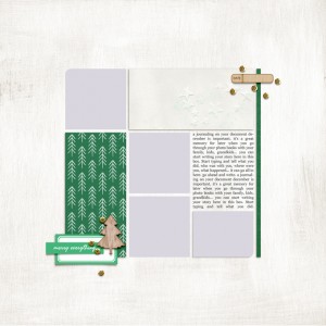 dyd 17 foundation page 2