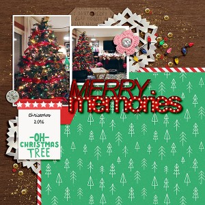Merry Memories