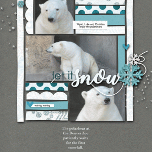 Polarbear-web