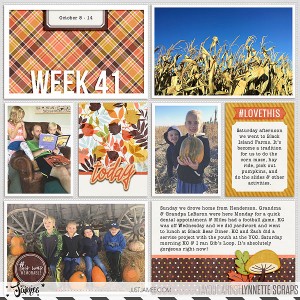 2017 Week 41 - left side