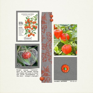 Chinese Lanterns