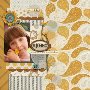 SWL Nov designer temp chall
