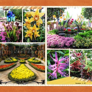 Phipps Conservatory, Autumn Flower Show 2017