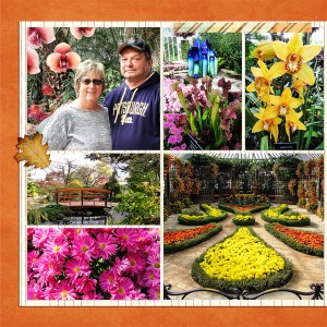Phipps Conservatory, Autumn Flower Show 2017_left
