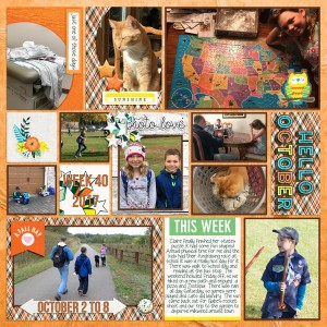 2017-Week-40-jj-st16oct-pktpgL