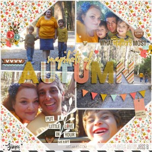 Snapshots of Autumn