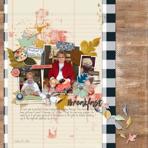 JoAnnOct2013fddFS27Nov2017