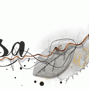 FallSigi