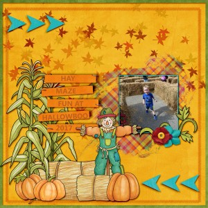 Hay Maze Fun