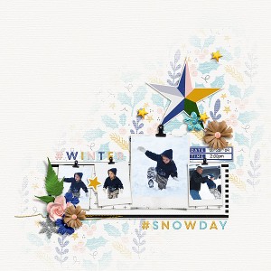Snow-Day
