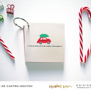 Family Ornaments mini album (cover)
